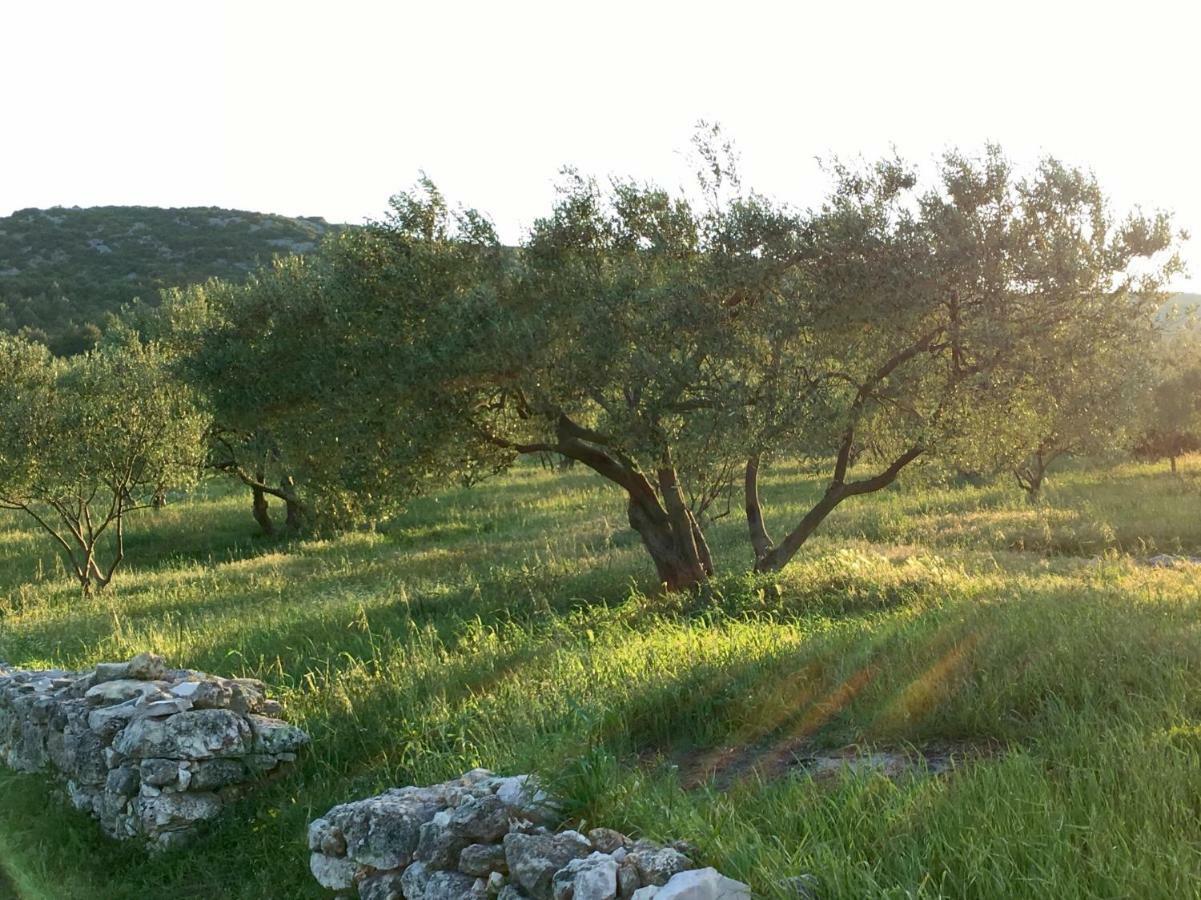 Lavanda Tribunj  Exterior photo